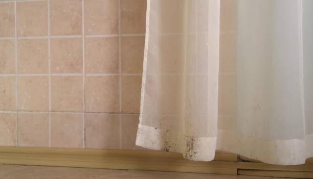 Best Residential Mold Inspection & Testing  in Watsessing, NJ
