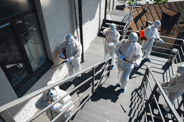 Best Airborne Mold Testing  in Watsessing, NJ