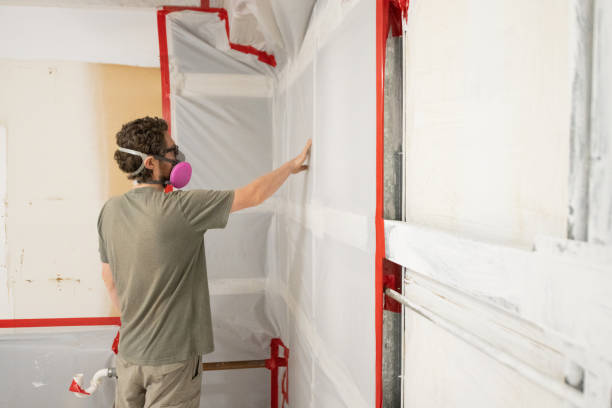 Best Black Mold Removal  in Watsessing, NJ