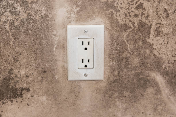 Best Air Quality Testing for Mold Spores  in Watsessing, NJ