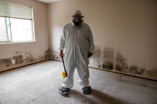 Best Mold Odor Removal Services  in Watsessing, NJ